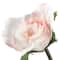 8" Rose Bundle by Ashland®